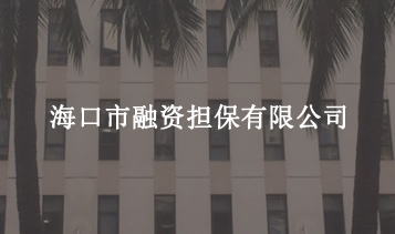 ?？谑腥谫Y擔(dān)保有限公司
